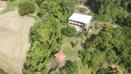 Appartement moderne à Rivière-Pilote, 80 m², jardin - Photo 9