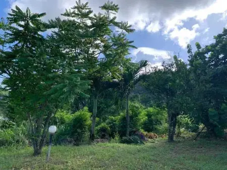 Appartement moderne à Rivière-Pilote, 80 m², jardin - Photo 16