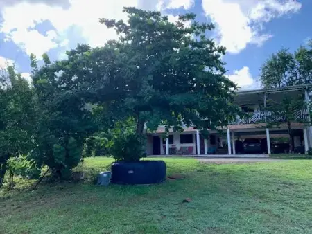 Appartement moderne à Rivière-Pilote, 80 m², jardin - Photo 17