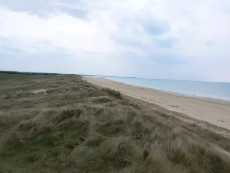 Charmante maison en pierres avec jardin privé et animaux acceptés - Photo 13