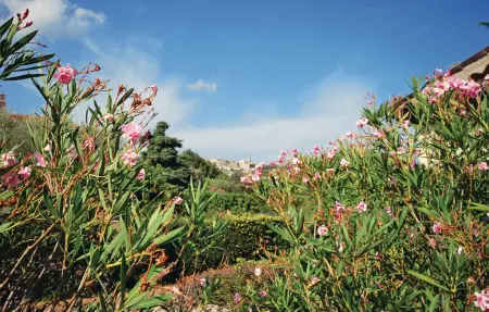 Maison 5 personnes à Fayence - Photo 13