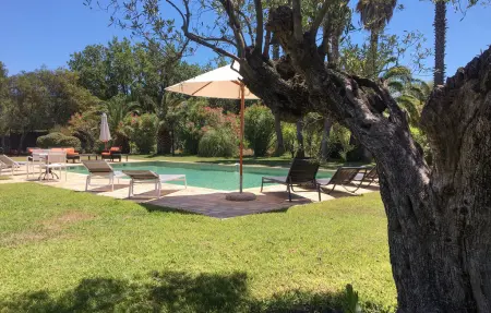 Maison 7 personnes à Ramatuelle - Photo 9