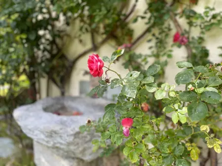 Spacieux appartement 8 pers. avec cheminée à Argentière - Photo 13