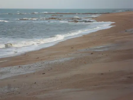 Maison typique Nord Cotentin, 4 pers, animaux acceptés - Photo 18