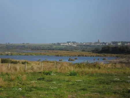 Maison typique Nord Cotentin, 4 pers, animaux acceptés - Photo 19