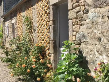 Maison cosy avec jardin, animaux admis, WiFi à La Hague - Photo 18