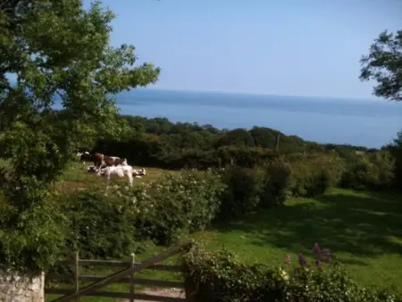 Maison cosy avec jardin, animaux admis, WiFi à La Hague - Photo 20