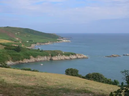 Maison cosy avec jardin, animaux admis, WiFi à La Hague - Photo 21