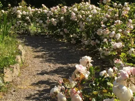 Maison cosy avec jardin, animaux admis, WiFi à La Hague - Photo 25