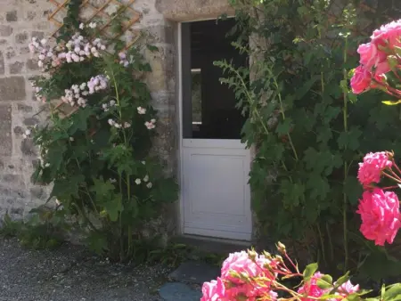 Maison cosy avec jardin, animaux admis, WiFi à La Hague - Photo 26