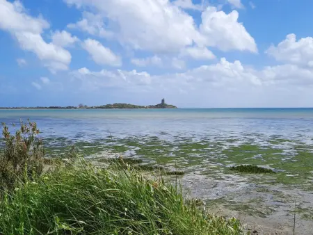 Maison Indépendante près de la plage à Réville - Photo 12