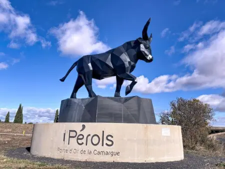 Les cabanes de Pérols, Maison 4 personnes à Pérols - Photo 40