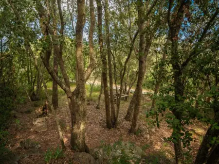 La Salve Can Jordi, Maison 2 personnes à Pollença - Photo 23