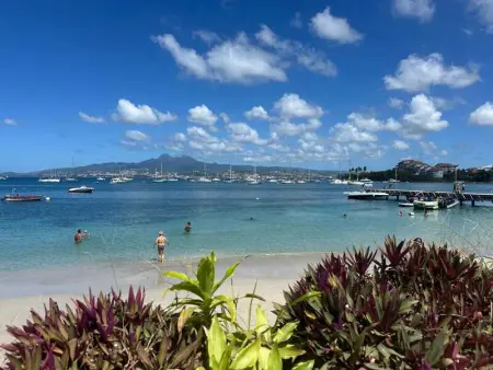 Studio accueillant aux Trois-Îlets, 30 m², piscine partagée - Photo 28