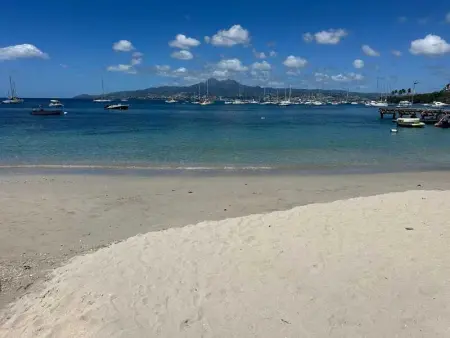 Studio accueillant aux Trois-Îlets, 30 m², piscine partagée - Photo 29