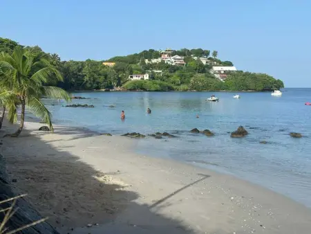 Studio accueillant aux Trois-Îlets, 30 m², piscine partagée - Photo 33