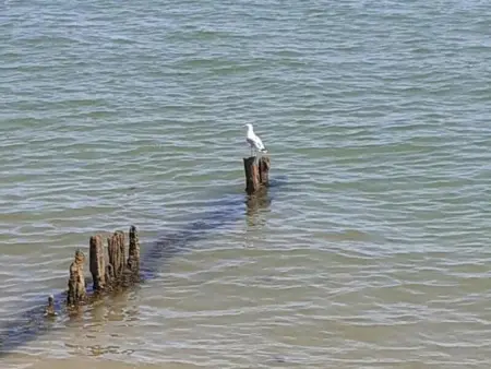 Maison confortable à Réville avec jardin et parking - Photo 17