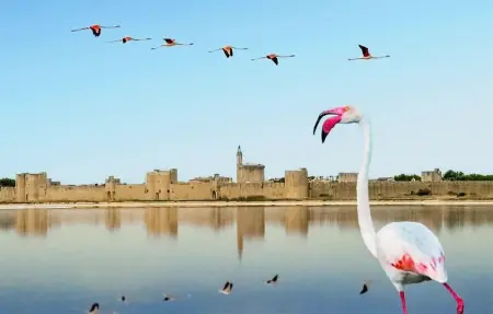 Maison piscine Nîmes, Maison 6 personnes à Nîmes - Photo 17
