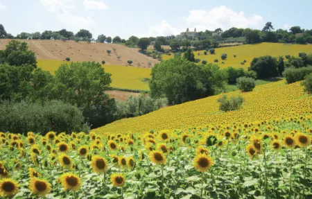 Villa dei Girasoli, Maison 10 personnes à Petriolo MC - Photo 48