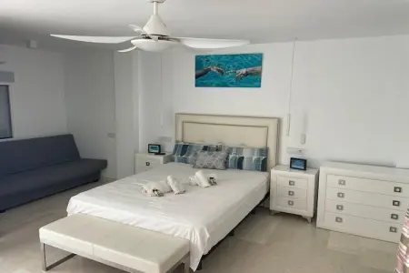 CT 376 - Faro's Calypso Duplex Penthouse - Walking distance to Beach - Photo 19