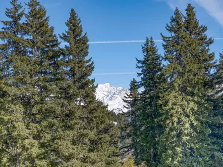 Appartement cosy pour 6 pers. avec parking à Villard-sur-Doron - Photo 14