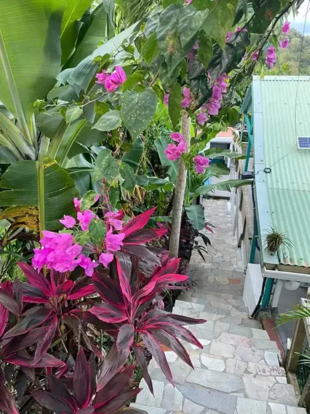 Villa accueillante avec piscine à Rivière-Salée - Photo 40