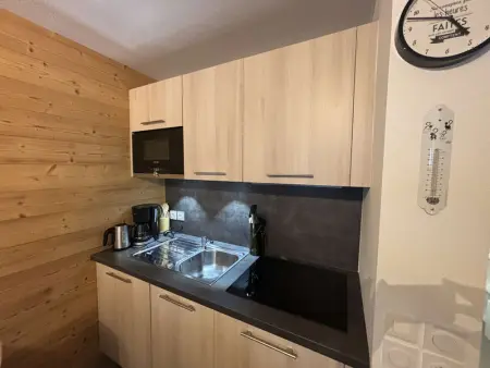 Appartement moderne 2 pièces au pied des pistes à Auris en Oisans - Photo 4