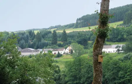 Anne, Maison 5 personnes à Burg Reuland - Photo 21