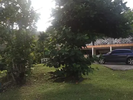 Appartement cosy au bord de la mer, 30 m², 2 pers. - Photo 7