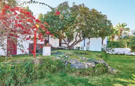 Casa Los Pinos, Maison 2 personnes à Icod de los Vinos - Photo 4