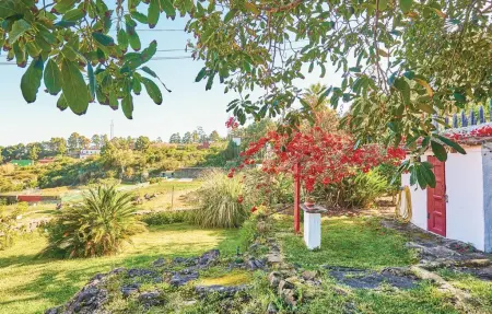 Casa Los Pinos, Maison 2 personnes à Icod de los Vinos - Photo 10