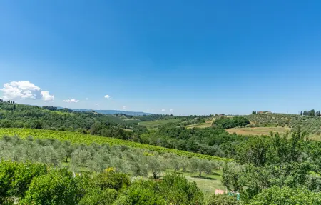 Certinuzza, Maison 6 personnes à Montespertoli FI - Photo 28