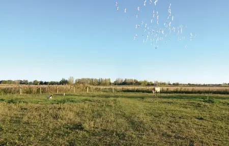 Le Cyprès, Maison 4 personnes à Le Sambuc - Photo 31