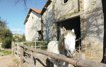 Le Cyprès, Maison 4 personnes à Le Sambuc - Photo 36