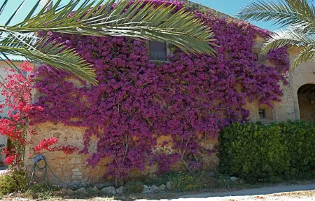 Maison 10 personnes à Porreres - Photo 8