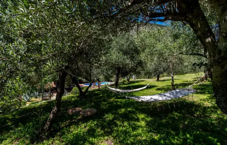 Maison 6 personnes à Trstenik - Photo 3
