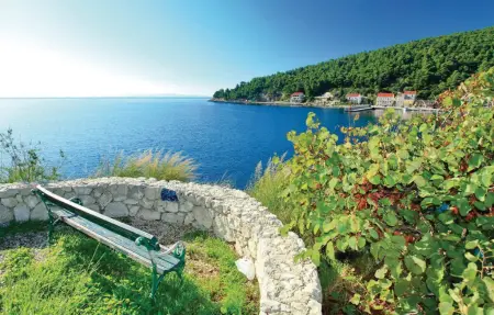 Maison 6 personnes à Trstenik - Photo 37