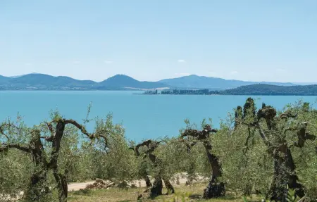Melo, Appartement 6 personnes à Castiglione del Lago - Photo 15