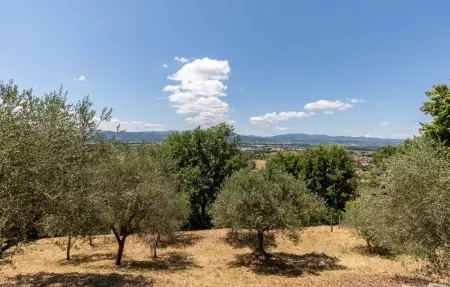 Maison 12 personnes à San Giustino PG - Photo 30