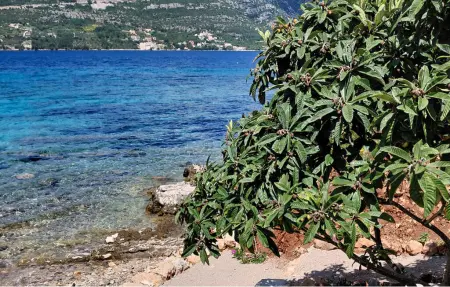 Maison 4 personnes à Korcula - Photo 12