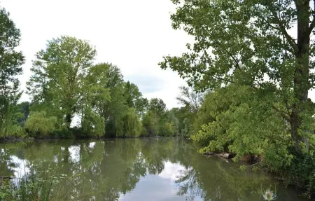 Maison 6 personnes à St Pierre d'Eyraud - Photo 22
