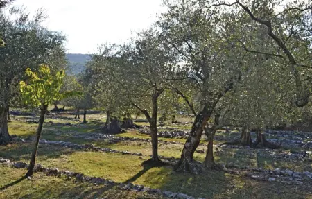 Maison 6 personnes à St. Cézaire sur Siagne - Photo 15