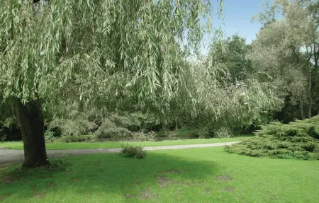 Maison 4 personnes à Dimont - Photo 9