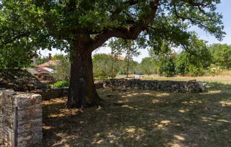 Maison 4 personnes à Buje - Photo 10