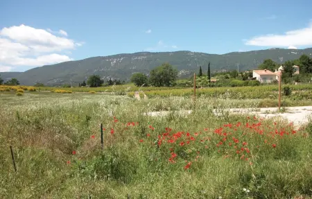 Maison 3 personnes à Valreas - Photo 24