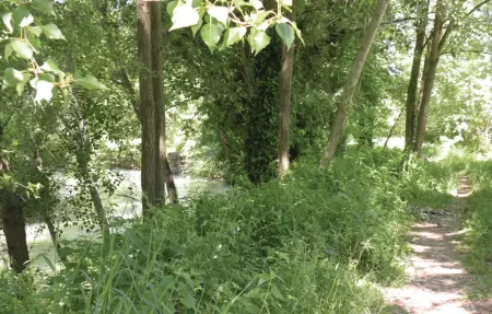 Maison 4 personnes à L'Isle sur la Sorgue - Photo 23