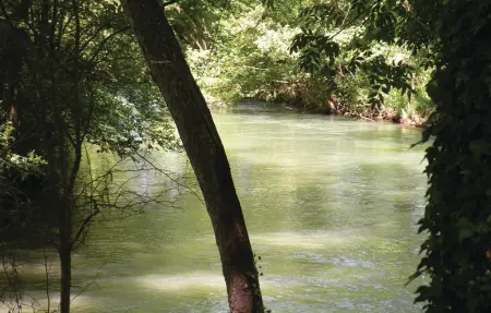 Maison 4 personnes à L'Isle sur la Sorgue - Photo 24
