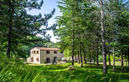 Valguerriera 5 - Rosa Gialla, Appartement 7 personnes à Apecchio PU - Photo 4