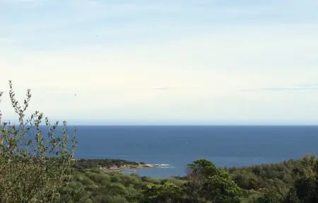 Maison 6 personnes à Porto Vecchio - Photo 9