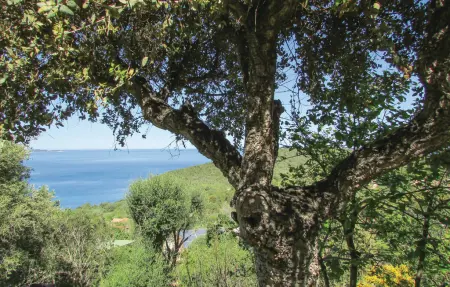Maison 6 personnes à Porto Vecchio - Photo 11
